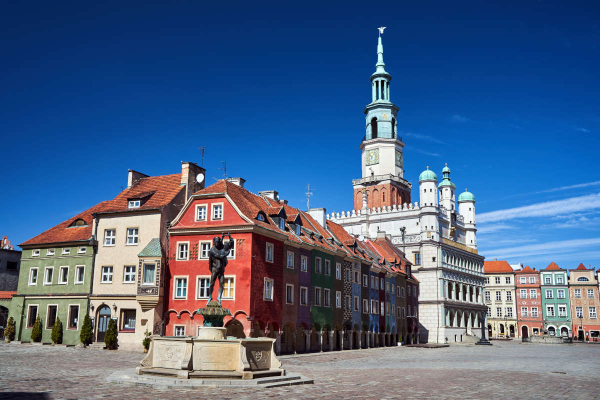 pozycjonowanie www i sklepów Poznań Stare Miasto